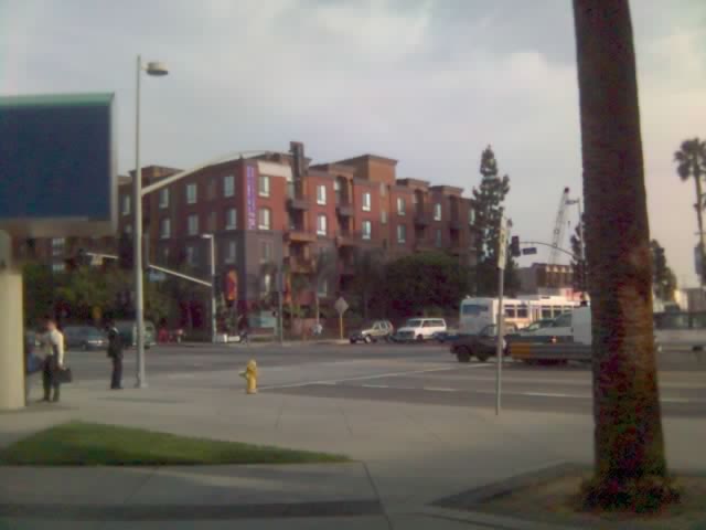 what did they do to the god lot?